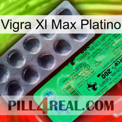 Vigra Xl Max Platinum new04